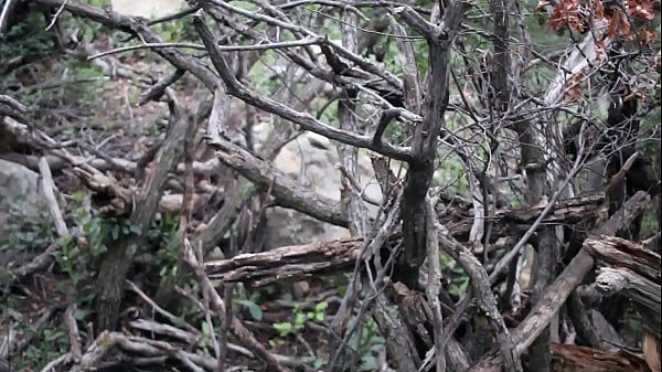 Ginger Babe Rides Toy In Wild Dino Suit Outdoors